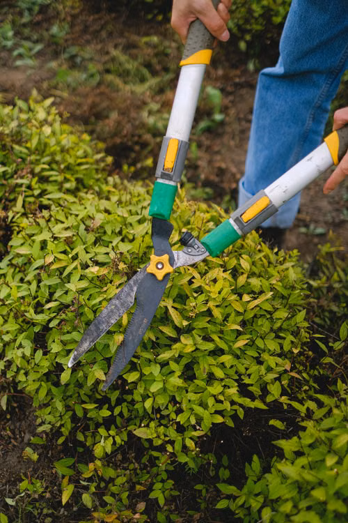 Garden Maintenance