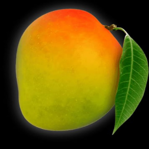 Buy Apple Mango Plants Online At Wholesale Price